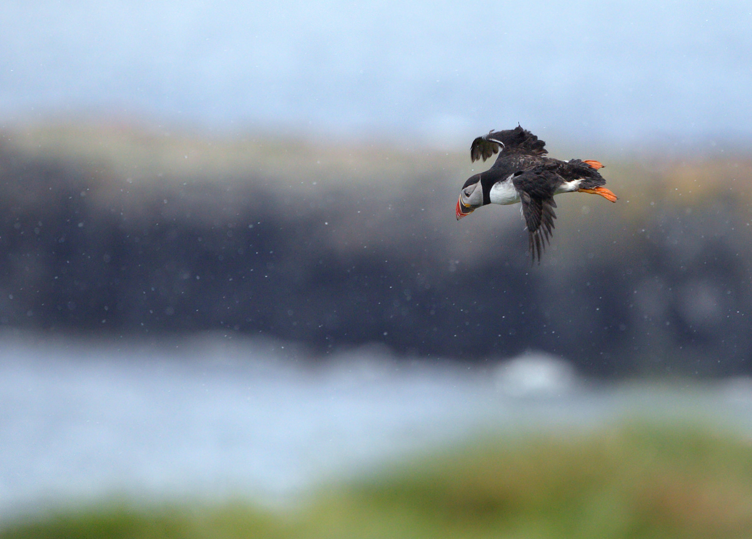 in flight